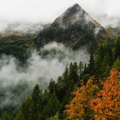 akFtKdaVqS62260's profile picture. 