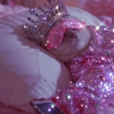 thatoldonetwo's profile picture. taking a year sabbatical from the reason my dreams and still dreams. IFYKYK.