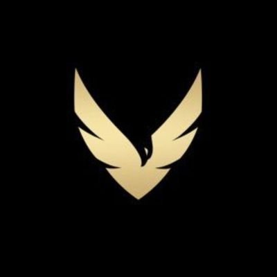 Vultures_XI's profile picture. 🇮🇹 Pro Club Team since 2024 | Founder @Tonyy9x_ | GM @Mantovanss4 | Powered by: