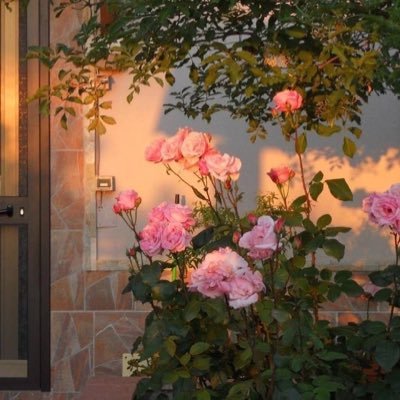 kubrayildrrm's profile picture. interior architect