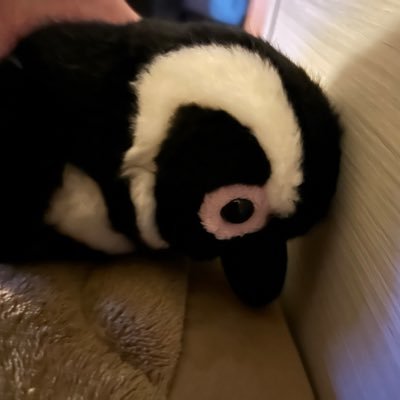 mori__mo_to's profile picture. 