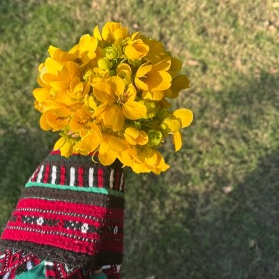 sangeenbaluch's profile picture. English literature,frm #Baluchistan,passionate about writing in Balochi,&determined to be a struggler who speaks the truth of her oppressed nation to the world.