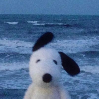 camilxpovedx's profile picture. ghosts have always ruled my life