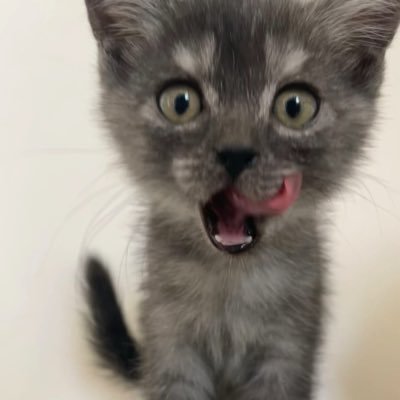 Ouyuwlh's profile picture. …