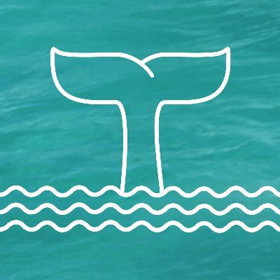 ClubCetace's profile picture. 