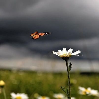 Jessica_Harvey8's profile picture. 