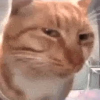 goleedev's profile picture. FE | Based in London | @Cloudflare