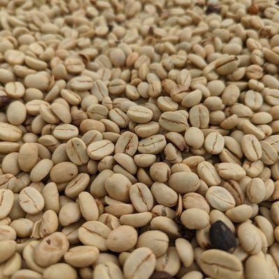 MpondaSabinus's profile picture. 