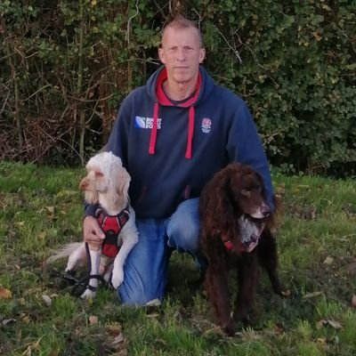 BlackCountryBe3's profile picture. F2 Sproodle, 6½ years old, full name Albert, & F2 Cockapoo 2 years old named Thomas. Normally seen with our hoodad @corns85.