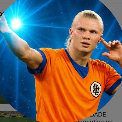 kamehamehaaland's profile picture. 