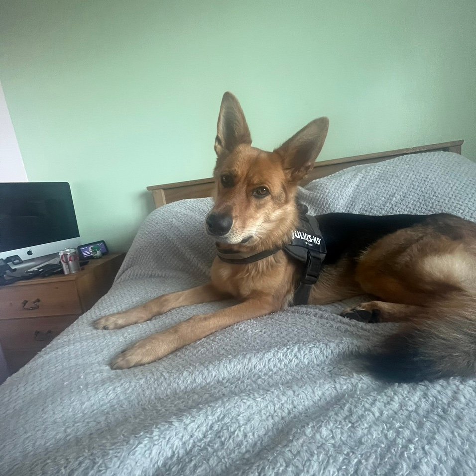 GraemeGedd56's profile picture. 