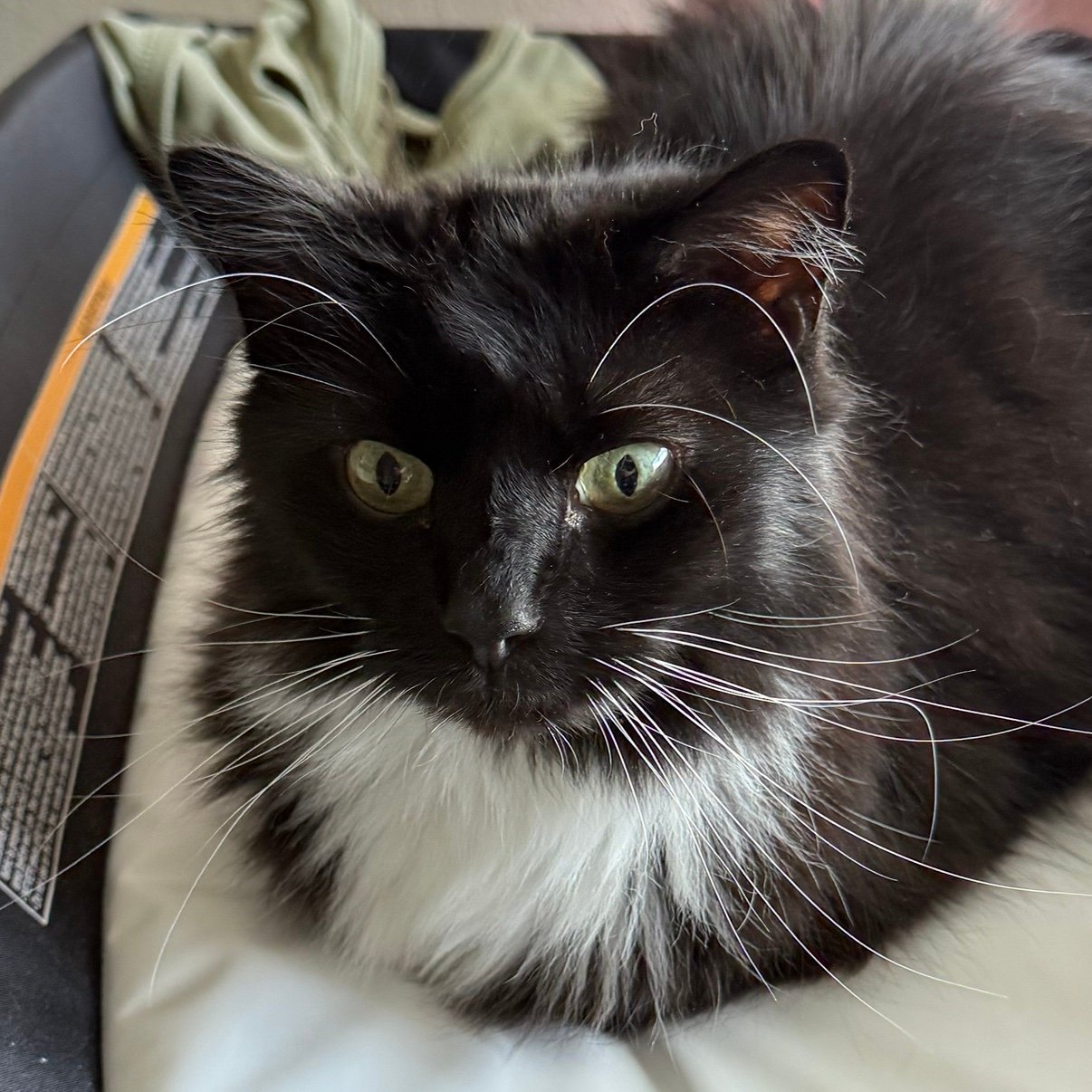 letmeinimgood's profile picture. 