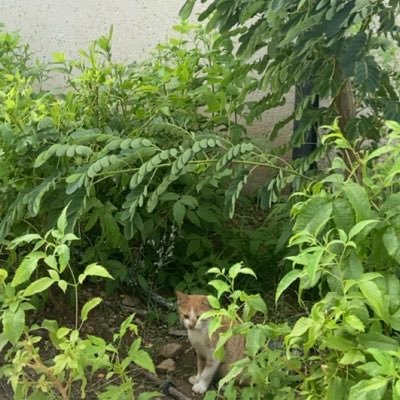 girlll77's profile picture. 