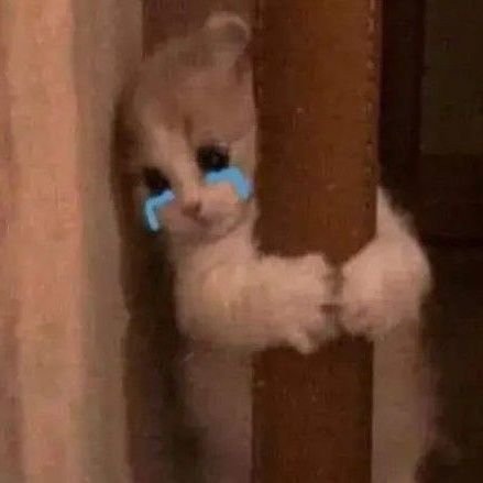 thala_rasigan_b's profile picture. எல்லாரும், எல்லாமும் கைவிடும் போது உன்னை நம்பு…!!! #TeamAbyss 🤛🏻