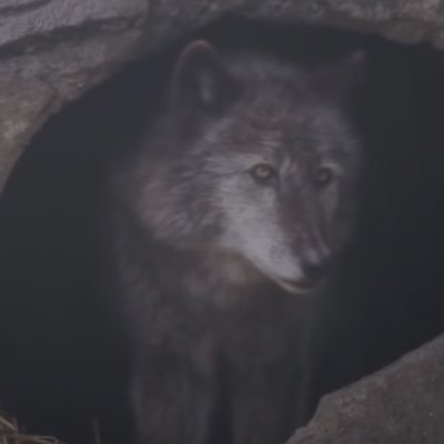 CryptoWarrior_e's profile picture. Hungry Huntin / $ICP + $LINK / $FIRO + $OCTA / $BRO + $KARUM