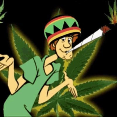 N1KT_ALT's profile picture. @n1kt_lol main