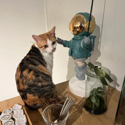 kvvnawzv's profile picture. 小さな一歩でも前に進めば、それが大きな成果に繋がる