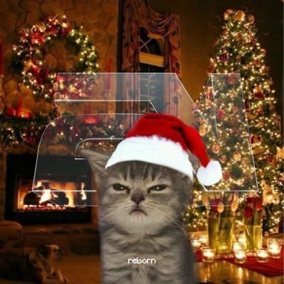 RebornFarted's profile picture. spinner, sniper and mobile dzn :3 | hybrid for @2NGGz