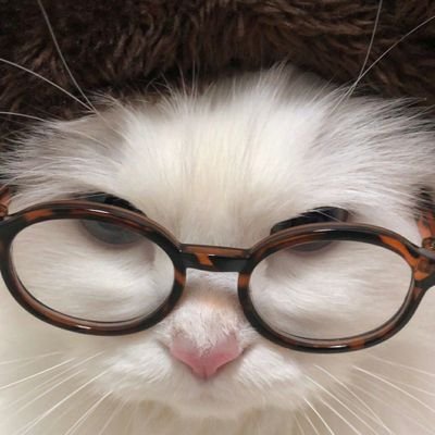 ifaquell's profile picture. another step closer to FT UGM ’26 — #studytwt