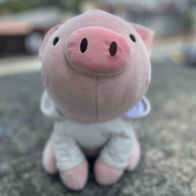 CerditoCol's profile picture. Antiespecista