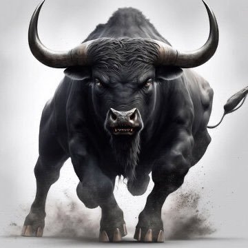 marketsum's profile picture. 