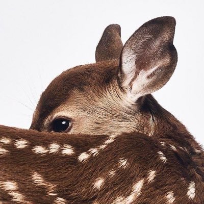 nourahjay's profile picture. learning, loving & living