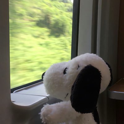 ForcedTheory's profile picture. 