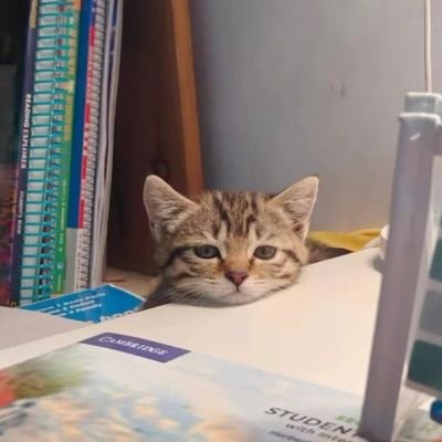 RRP_datta's profile picture. धर्म आणि जात- माणुसकी. 
मेंबर ऑफ प्राणीप्रजाती गॅंग
Inspired from बोक्या दादा ❤️
INDIA वाले