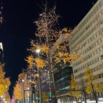 ezmMTJvRSM94504's profile picture. 