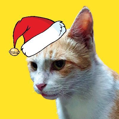 yellowdoodle1x's profile picture. 