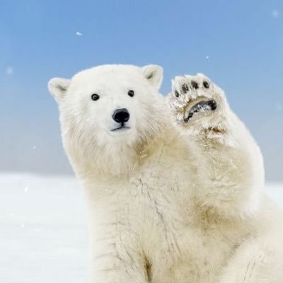 RUA03_'s profile picture. the bug is in my brain // main @stickmaninperil