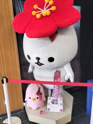 3wbCcRk7Im10933's profile picture. 