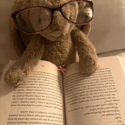 bookreader1717's profile picture. 🇦🇷

reader first, human being second

cr:  kafka's diaries, jane eyre