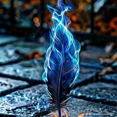 aksgazi68's profile picture. ☘