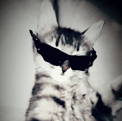 dytazx_'s profile picture. Qualquer coisa. 
Multifandom
💤☀️🇧🇷💚