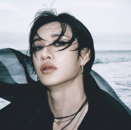 ceebschn's profile picture. — for Stray Kids. @ALis27Dnm