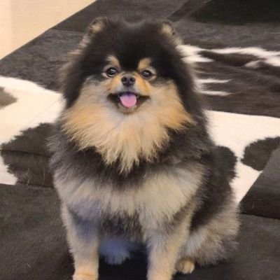 nooneimagine07's profile picture. 