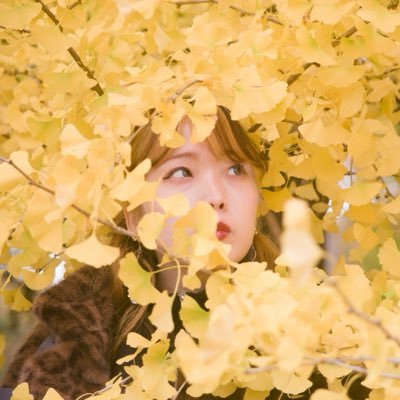 s2sakura08's profile picture. iPhoneで写真撮ったりトキメク瞬間を