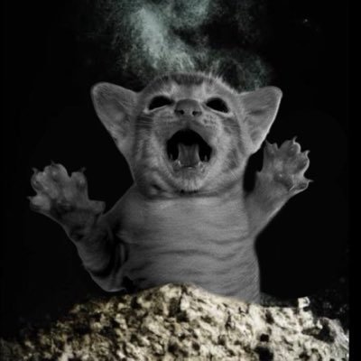 d_carolin3's profile picture. tenho a complexidade de uma vênus moderna.