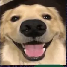 Kajusexo's profile picture. Vagabundo chique