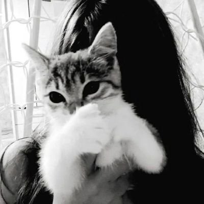 shittypost__'s profile picture. 