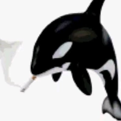 kitchren444's profile picture. i had a bio but i forgot it