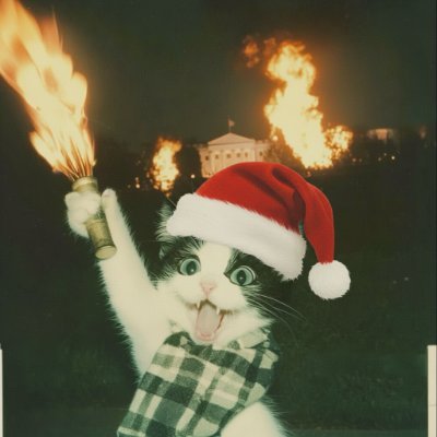 Ratty_nerd's profile picture. Crypto & Defi Analyst | Community manager | moderator |