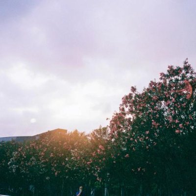 dlmhbsd's profile picture. 旅行で異なる文化に触れ、スペインのビーチで日光浴をしたり、オーストラリアの野外で冒険したりしました。投資は市場で集中力と忍耐力を保つ方法を教えてくれました。