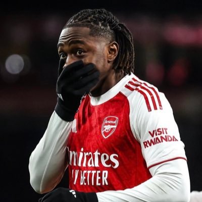 KHAFC20's profile picture. Arsenal 🔴⚪️ arsenal fan with standards 5 years no trophy #Artetaout #Kroenkeout