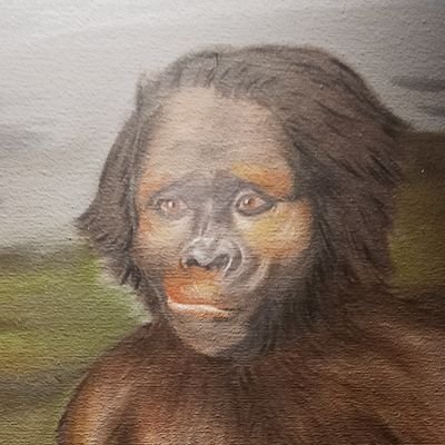 adesibo290377's profile picture. 