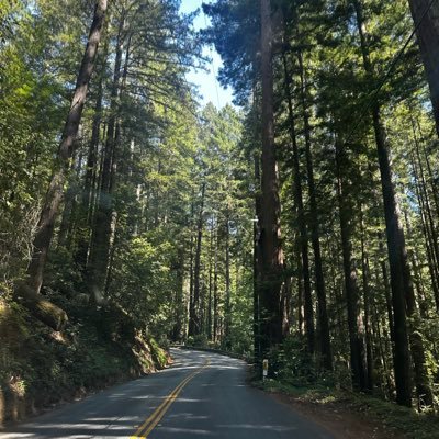 summertimekowb1's profile picture. Love nature and dogs. Enjoy spending time with family