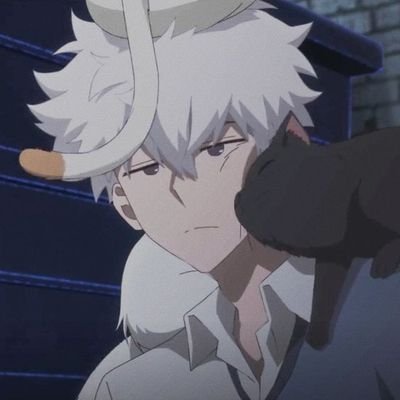 Xierozav's profile picture. ♀️/🩷💜💙/ Shiguang Canon