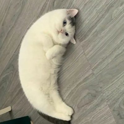 Dobayu3's profile picture. 𝔸𝕡𝕖𝕩 𝕃𝕖𝕘𝕖𝕟𝕕𝕤 𝕡𝕝𝕒𝕪𝕖𝕣(PC＆PS5) ずっと💎ゲーミングデバイス好き