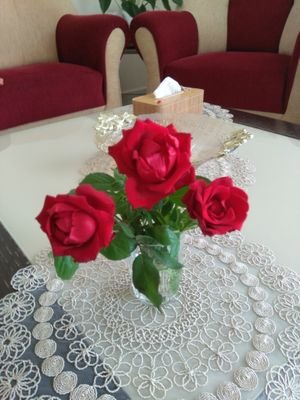 HsnLy95492's profile picture. رياضي